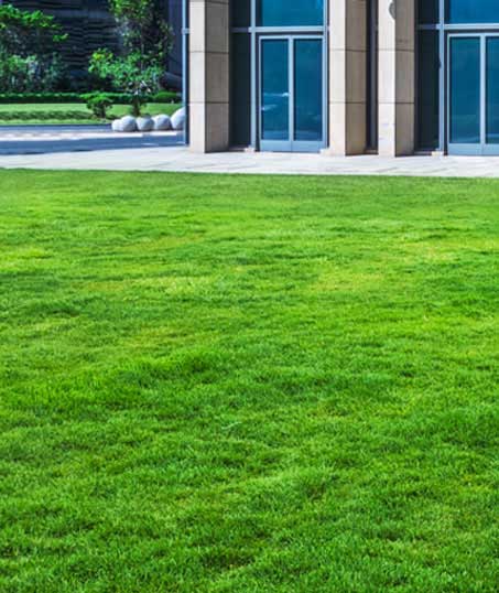 Southeast Angels Landscaping LLC Aeration