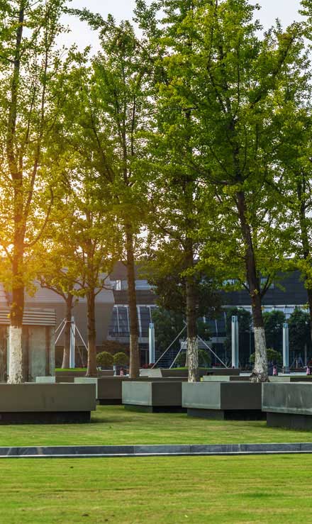 Southeast Angels Landscaping LLC Commercial Lawn Care