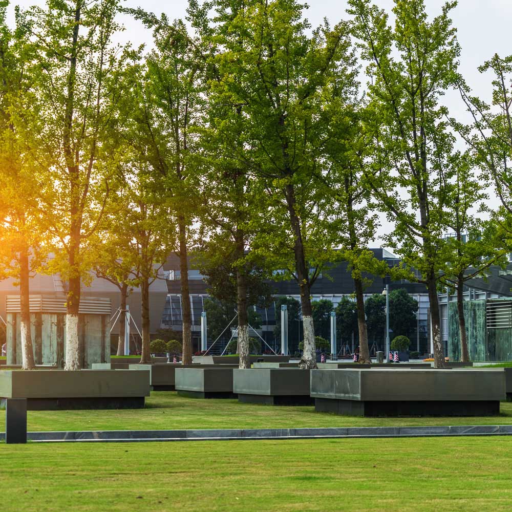 Commercial Lawn Care Service