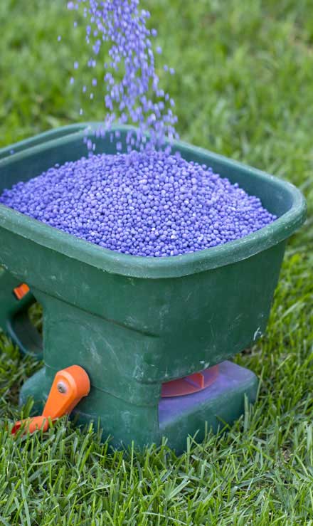 Southeast Angels Landscaping LLC  Lawn Fertilization