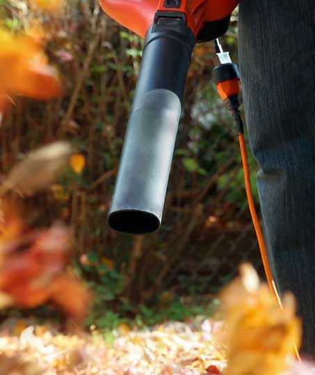 Southeast Angels Landscaping LLC Leaf Removal