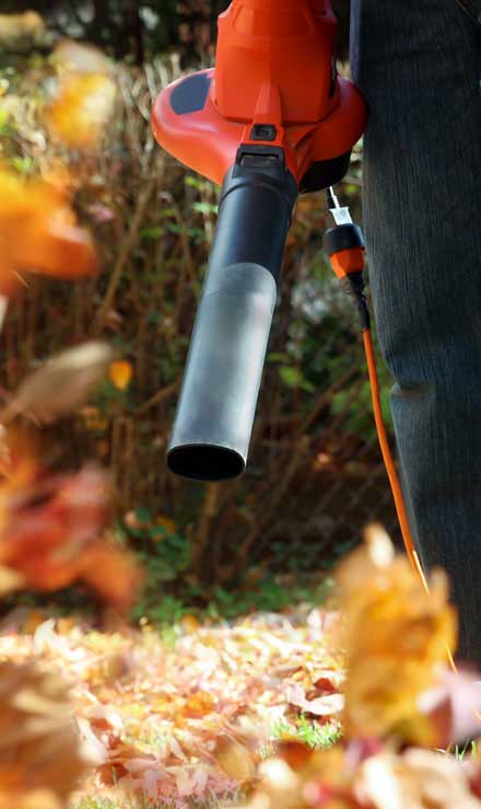 Southeast Angels Landscaping LLC Leaf Removal