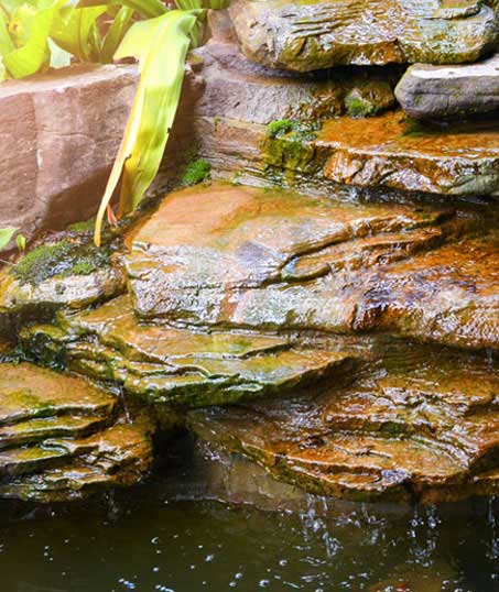 Southeast Angels Landscaping LLC Commercial Water Features