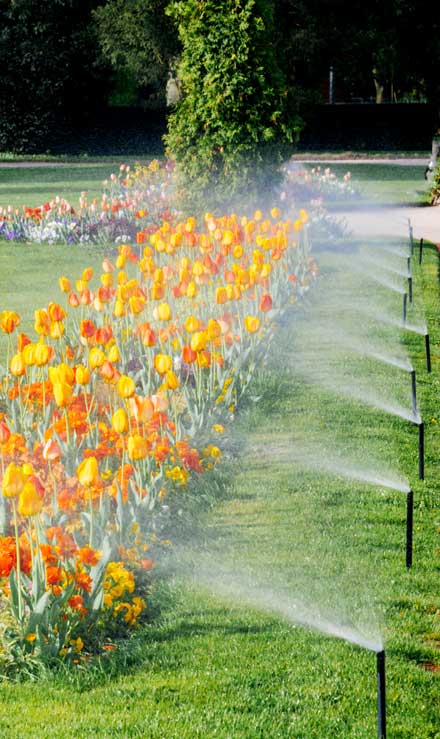 Southeast Angels Landscaping LLC Sprinkler Blowout